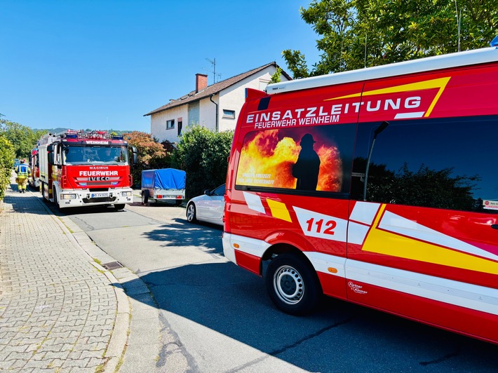 FW Weinheim: Trockenheit sorgt für lose Äste am Dürreplatz