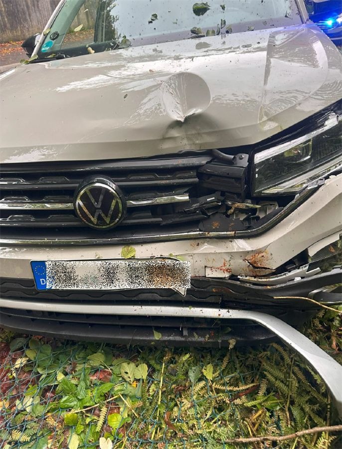 POL-RBK: Rösrath - Achtung Wildwechsel - Unfall mit zwei Leichtverletzten nach Ausweichmanöver