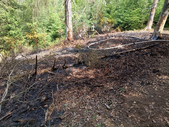FW Heimbach: Waldbrand im Kermeter fordert Einsatzkräfte aus zwei Landkreisen