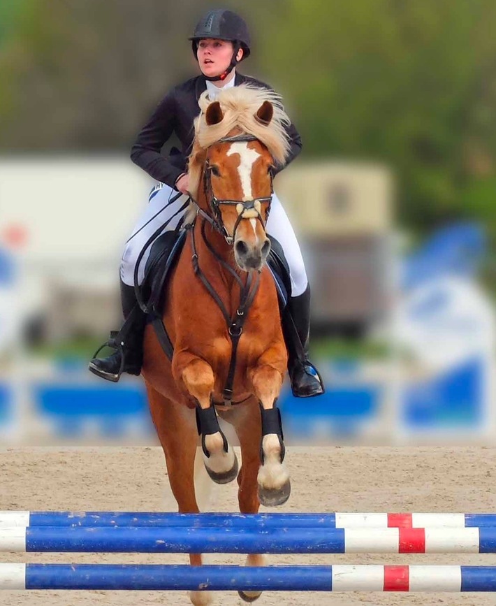 Medienmitteilung: Pferdesportturniere - Verbesserungen, aber weiterhin auch Mängel aus Tierschutzsicht