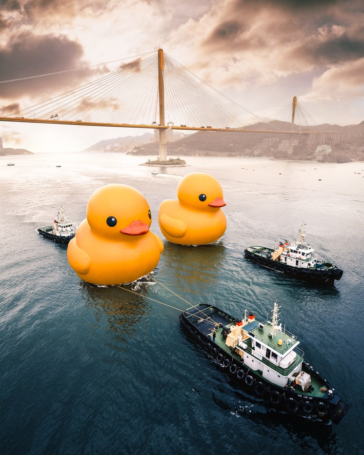 In Hongkong sind die (Gummi-)Enten los / Zwei riesige gelbe Quietsche-Enten in Hongkong gesichtet