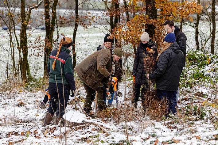 Gemeinsam für den Wald: 100 Krombacher Mitarbeitende forsten Wald wieder auf