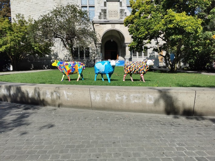 Handbemalte Schaf-Unikate gegen Mulesing / VIER PFOTEN sensibilisiert mit farbenfrohen Schaffiguren für das Leid von Merinolämmern