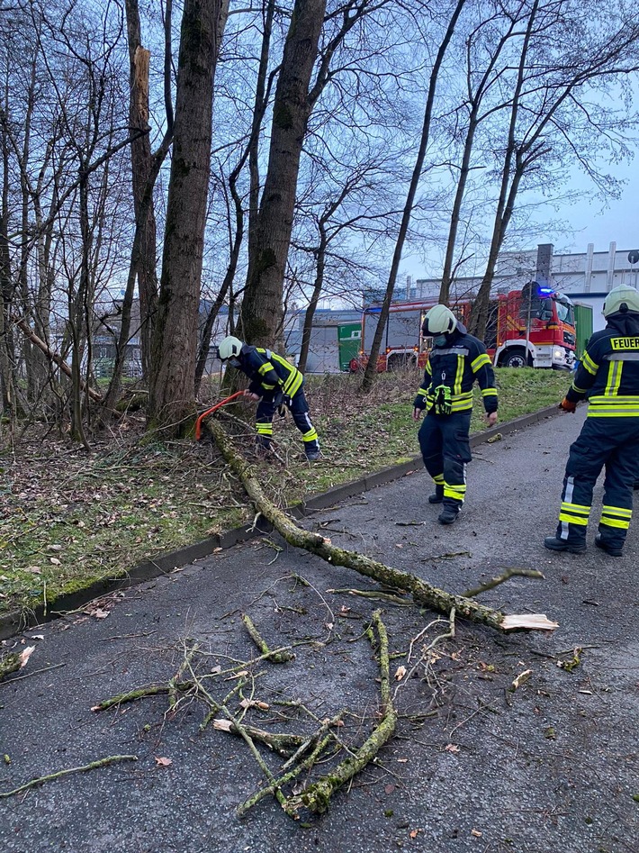 FW-EN: Ölspur und umgestürzter Baum