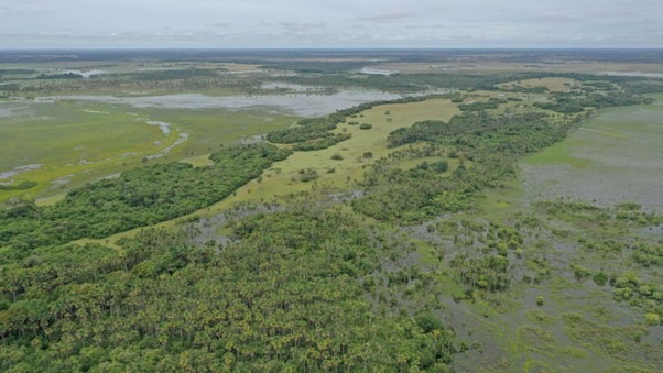 LATAM schließt Allianz zum Schutz von 575.000 Hektar in Schwerpunktgebieten weltweit