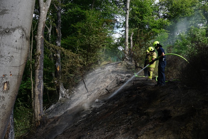 FW Ratingen: 30.06.20 Vegetationsbrand am Blauen See