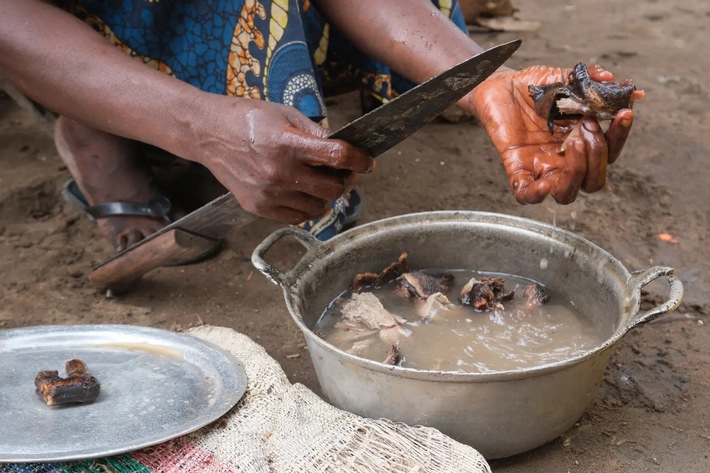 Steigender Verzehr von Wildfleisch in Afrika, PI Nr. 48/2026
