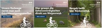 Radfahren in Schleswig-Holstein – neue Online-Kampagne wirbt für das Trendthema im echten Norden