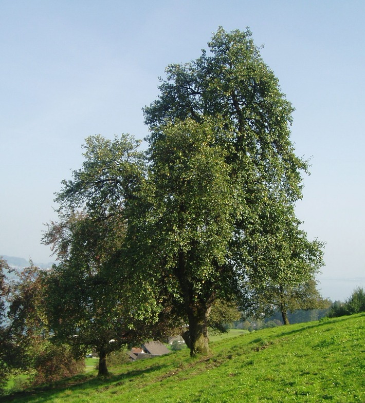 Natürlich Gutes tun - für sich und andere