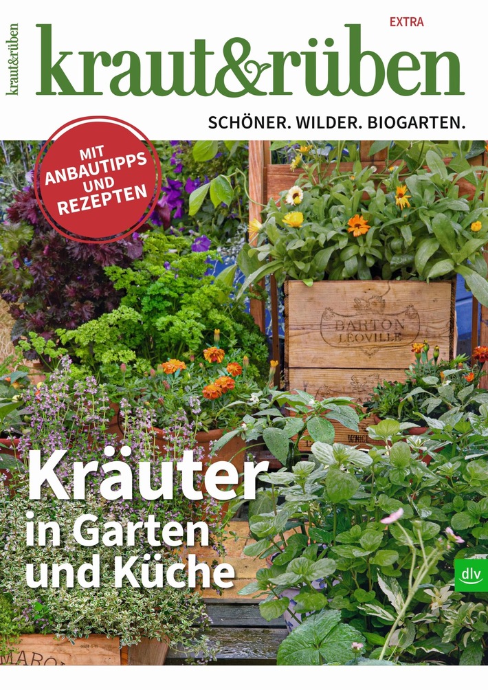 „Kräuter in Garten und Küche “: Neues kraut&amp;rüben-Sonderheft erschienen