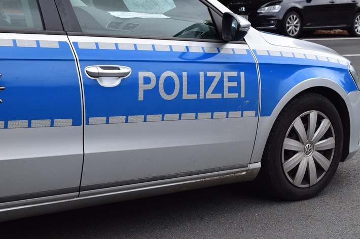 POL-PDNW: (Speyer) Verkehrsunfall mit einer schwer verletzten Person und elf toten Hunden