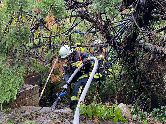 FW-OG: Brennende Thujahecke - Rauchwolke über Uffhofen