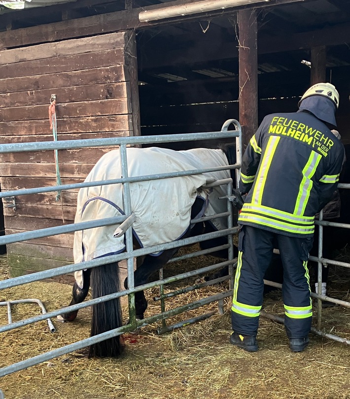 FW-MH: Tier in Notlage - Technische Hilfeleistung durch die Feuerwehr