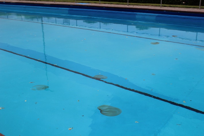 POL-GE: Öl im Freibad - Zeugen gesucht