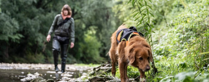 Artenspürhunde und Insektenspuren - 2 Anlässe zur Spurenausstellung im Naturmuseum Solothurn