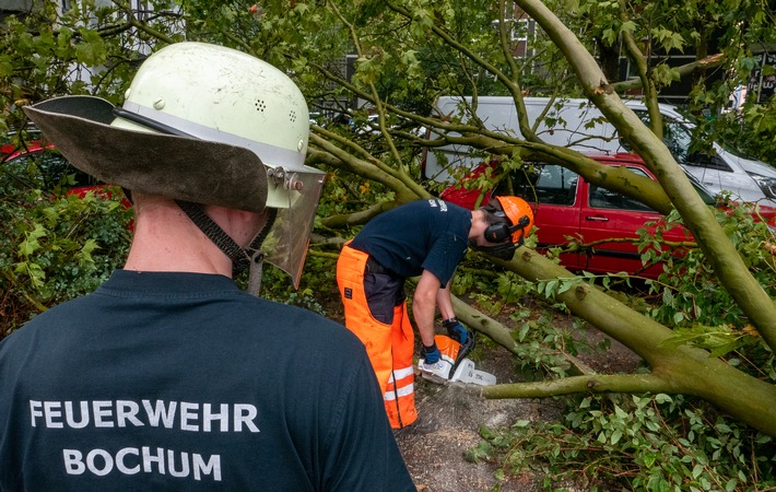 FW-BO: Umgestürzte Bäume durch kurzes aber heftiges Gewitter im Ehrenfeld