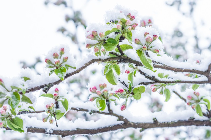 April, April - der macht, was er will! / Das ist Aprilwetter