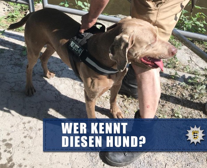POL-KA: (KA) Karlsruhe - Frau durch Hundebiss verletzt - Suche nach Hundebesitzer