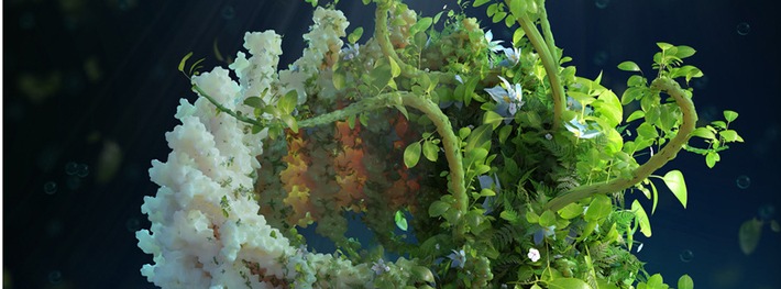 Pflanzenschutzmittel von innen: Wie Pflanzen ihre lichtsammelnden Membranen gegen Umweltstress stärken