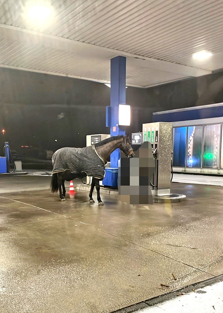 POL-MK: Tatverdächtige stiehlt Pferd und spaziert mit ihm durch die Nacht