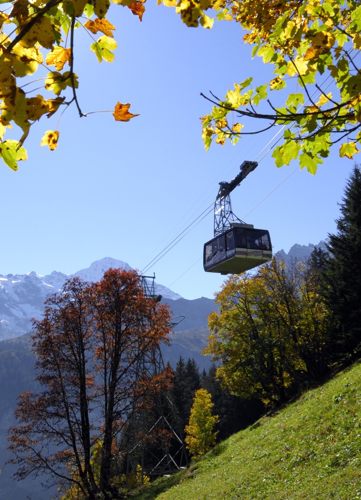 Schilthorngebiet - Bergerlebnis pur / Herbstausflug mit atemberaubender 360-Grad-Panoramasicht