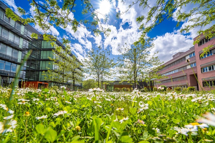 Klimaschutz: Neues Analysetool soll Städte zum Handeln befähigen