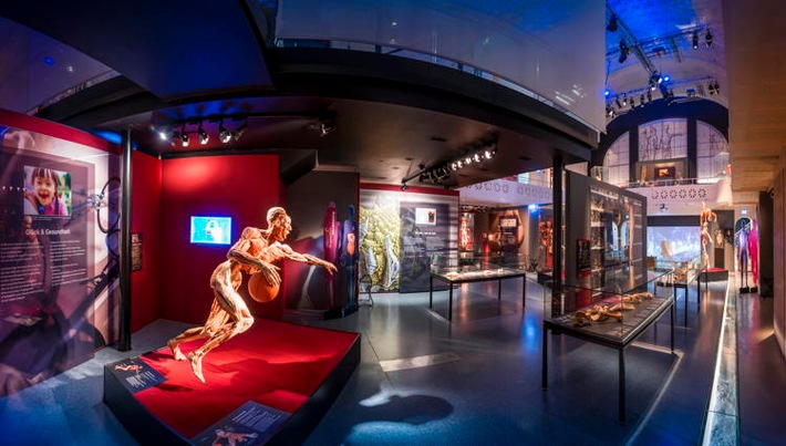 30 Years of BODY WORLDS / A Success Story That Has Changed the Way We See Ourselves