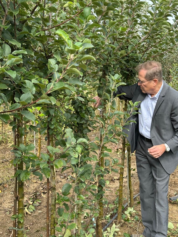 MdB Rainer Semet absolviert "Praktikum" in Baumschule