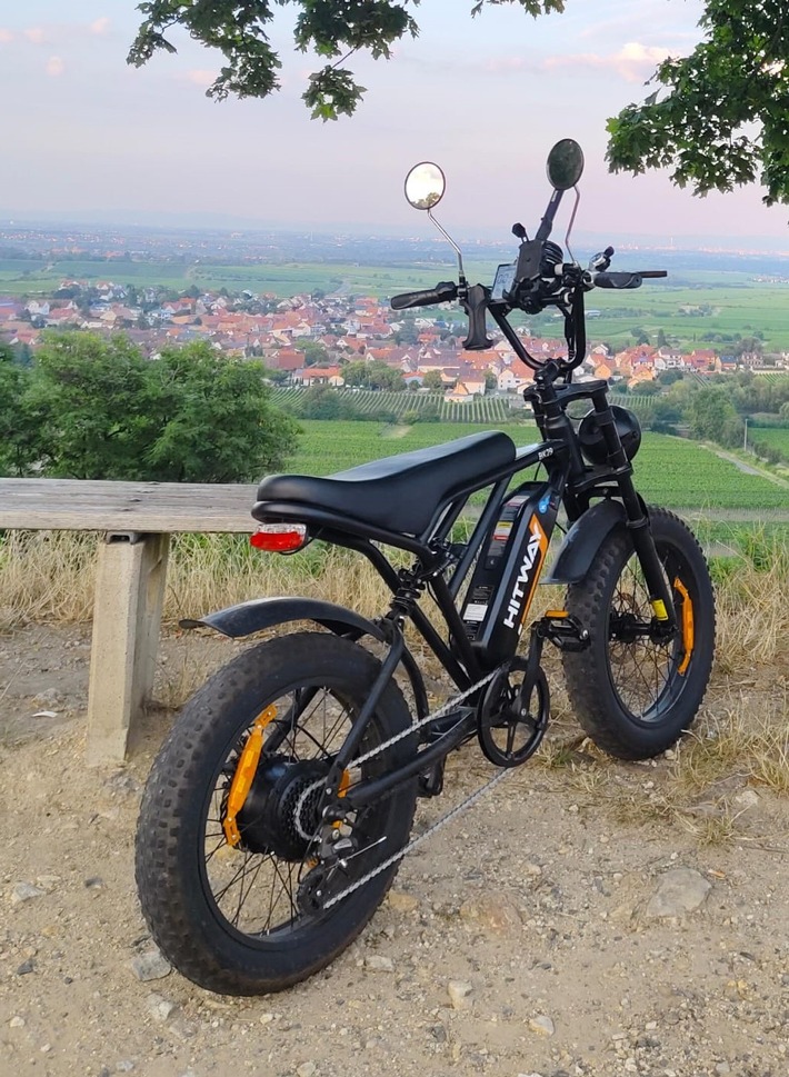 POL-PDNW: Fahrraddiebstahl - Zeugen gesucht