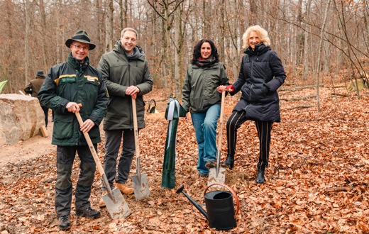 Friedhof im Wald - FriedWald Rümmingen eröffnet