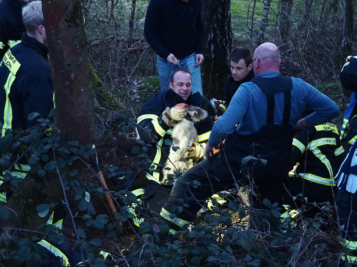 FW-MK: Achtung Korrektur!!! Hund aus Abwasserrohr gerettet