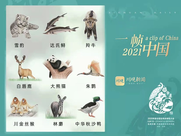Sichuan Tageszeitung: Lass uns auf die Artenvielfalt achten und uns der Natur nahestehen