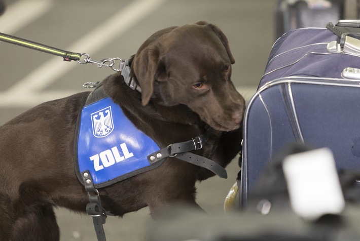 HZA-HH: Reisebuskontrollen durch den Hamburger Zoll // Diverse Verstöße gegen das Betäubungsmittelgesetz und das Arzneimittelgesetz festgestellt