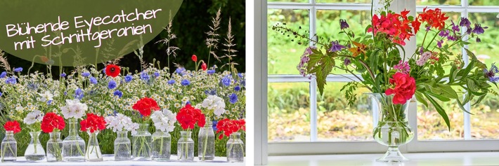 Blühende Eyecatcher mit Schnittgeranien: Inspirationen für Sträuße und DIY-Ideen