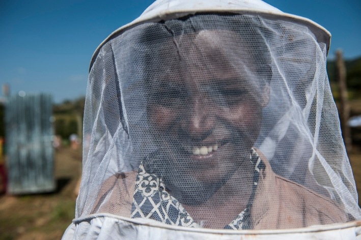 Zum Weltbienentag am 20. Mai 2018: Grüne Innovationszentren - Wie Bienen neue Jobs in Äthiopien schaffen