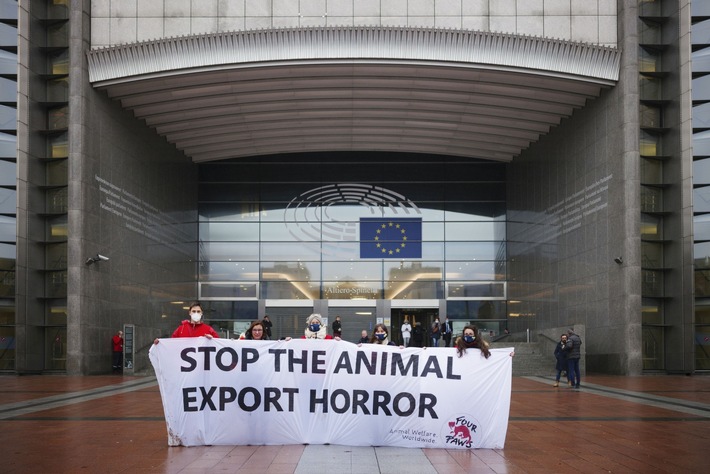 EU-Untersuchungsausschuss zu Tiertransporten legt Bericht vor / VIER PFOTEN: Empfehlungen gehen nicht weit genug