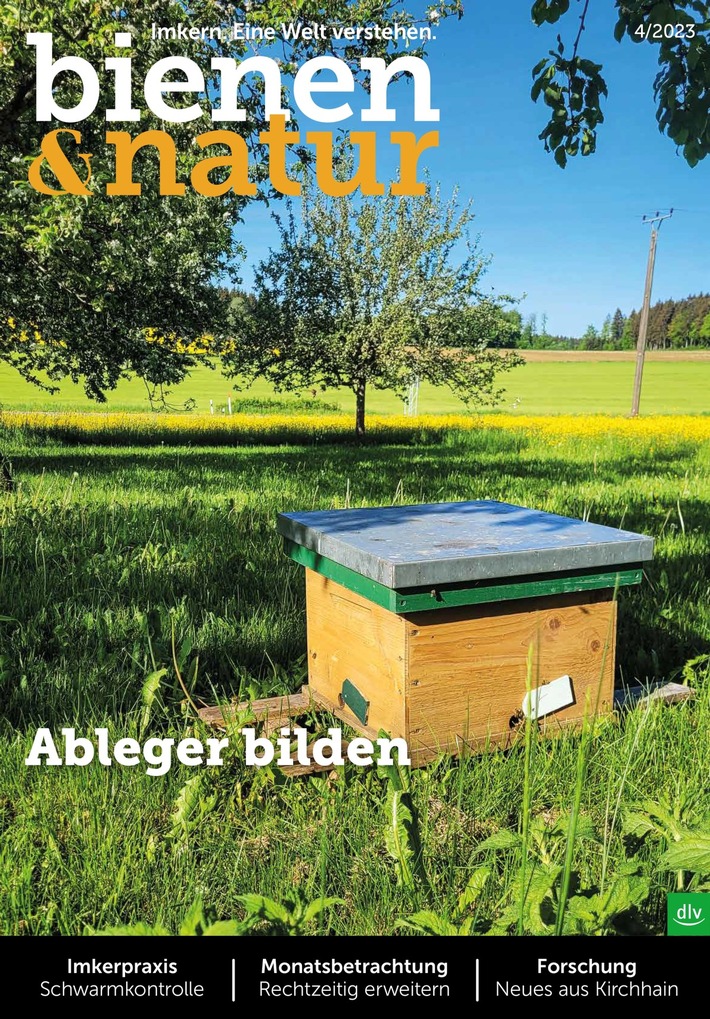 bienen&amp;natur informiert: Was passiert aktuell im und am Bienenstock?