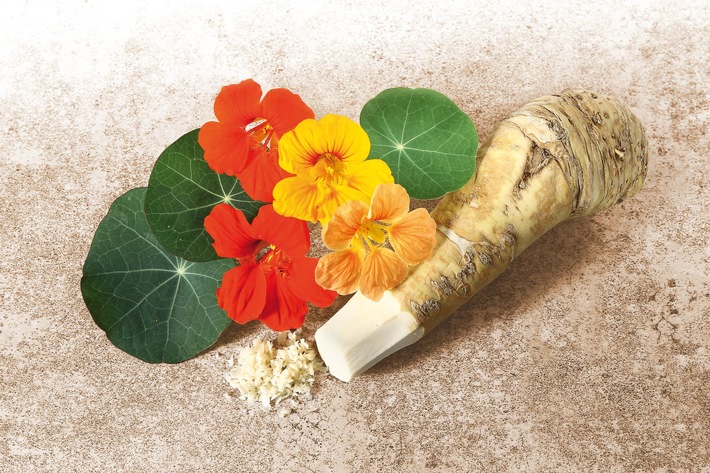 Aktuelle Real-World-Studie untermauert Evidenz von Phytoduo: / Kapuzinerkresse-Meerrettich-Kombination führt zu weniger Rückfällen und Folgeantibiotika bei akuter Bronchitis