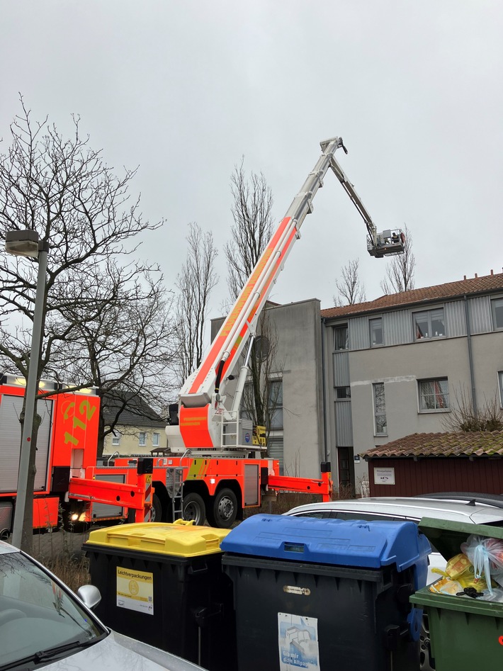 FW Hannover: Katze mit Teleskopmastbühne aus Baum gerettet