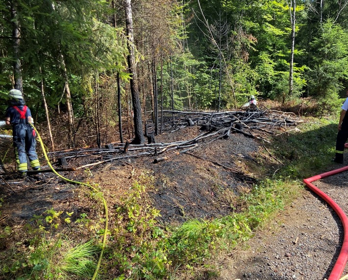 POL-PDTR: Brand im Waldgebiet