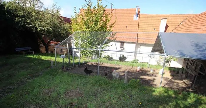 Häuser mit Hühnerstall – gefunden mit der KI-Suche