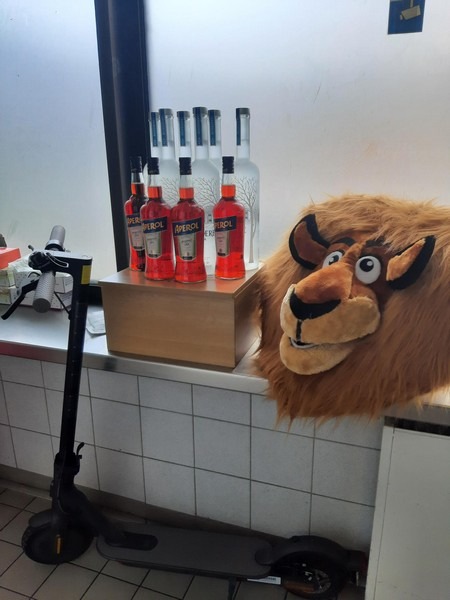 Bundespolizeidirektion München: Löwe auf Beutezug / 31-Jähriger Dieb kostümiert im Hauptbahnhof