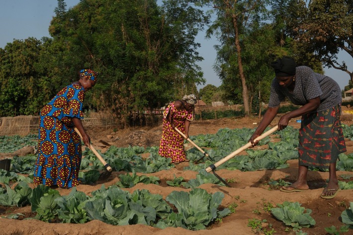 Communiqué: Journée des droits des femmes