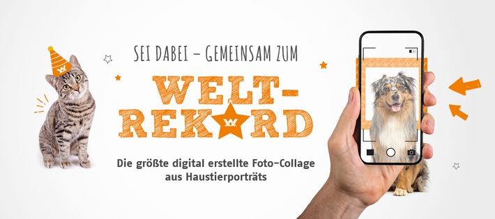 Haustierliebe sprengt alle Rekorde - Vet-Concept ruft zum großen Haustier-Fotoprojekt auf