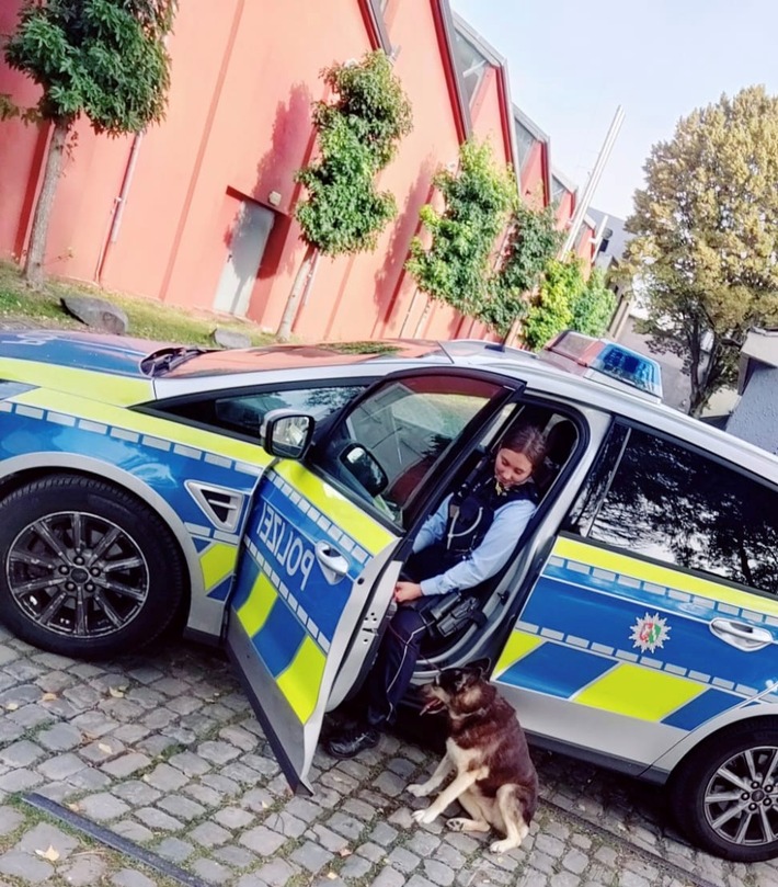POL-HA: Entlaufener Hund hält Polizei in Atem