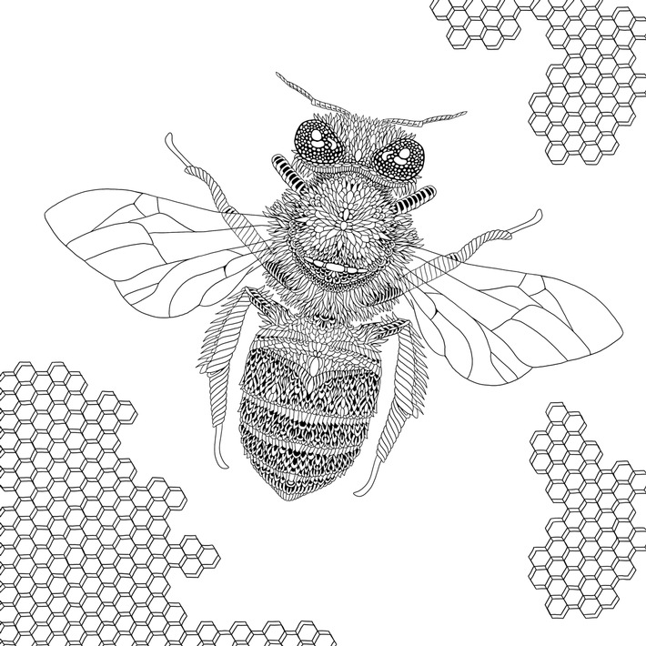 Helfen Sie uns mit diesem Ausmalbuch, die Alpen zu unterstützen