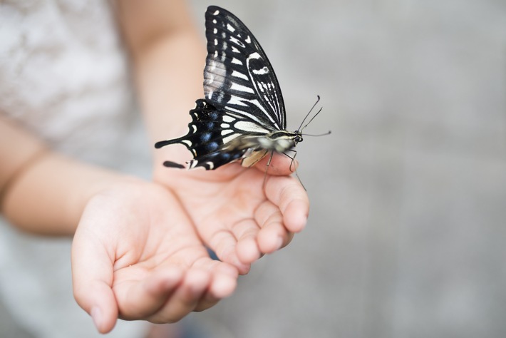 Research Success in Rare Disease / RHEACELL receives positive signal for accelerated stem cell development program in rare ‚Butterfly Disease‘