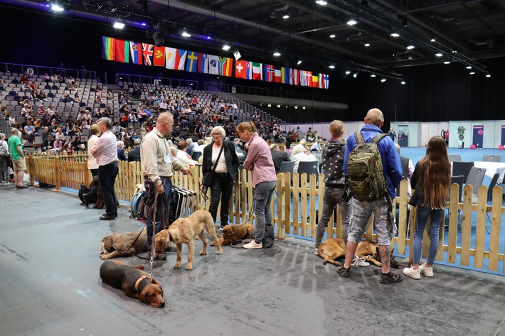 Erfurter Rassehunde- und Rassekatzen-Ausstellung 2022 mit 10.300 Besuchern