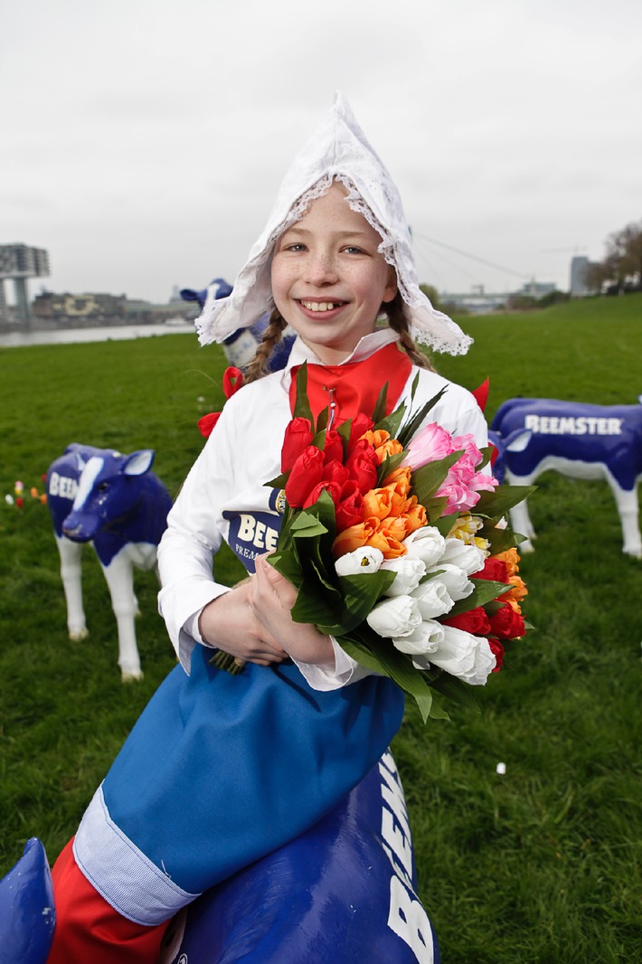 Endlich raus - der Tanz der glücklichen Kühe beim ersten Weidegang im Frühling - Nord-Holland kommt nach Köln (BILD)