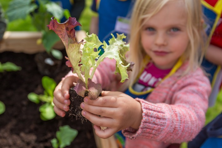 Wissen, das Wurzeln schlägt: EDEKA Stiftung bringt wieder Gemüsebeete in Deutschlands Kitas